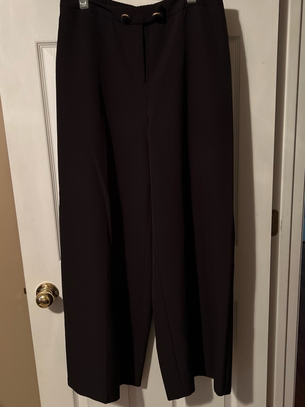 Cato Wide-Leg Dress Pants in Black